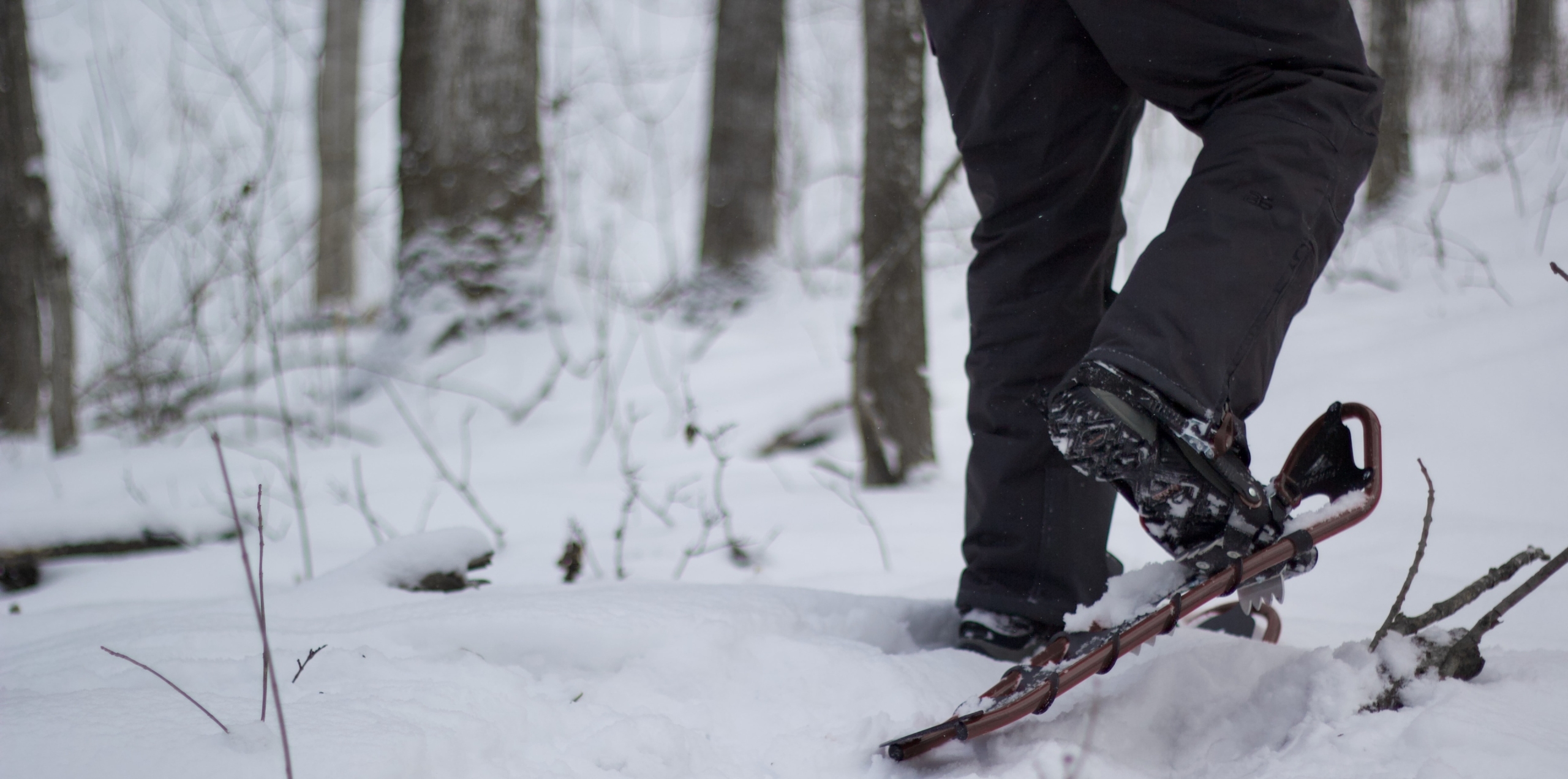 an individual snowshoeing in the woods