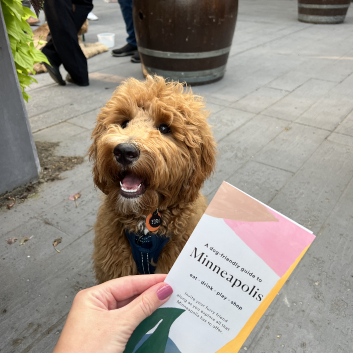 woman holding a brochure with a dog in the background