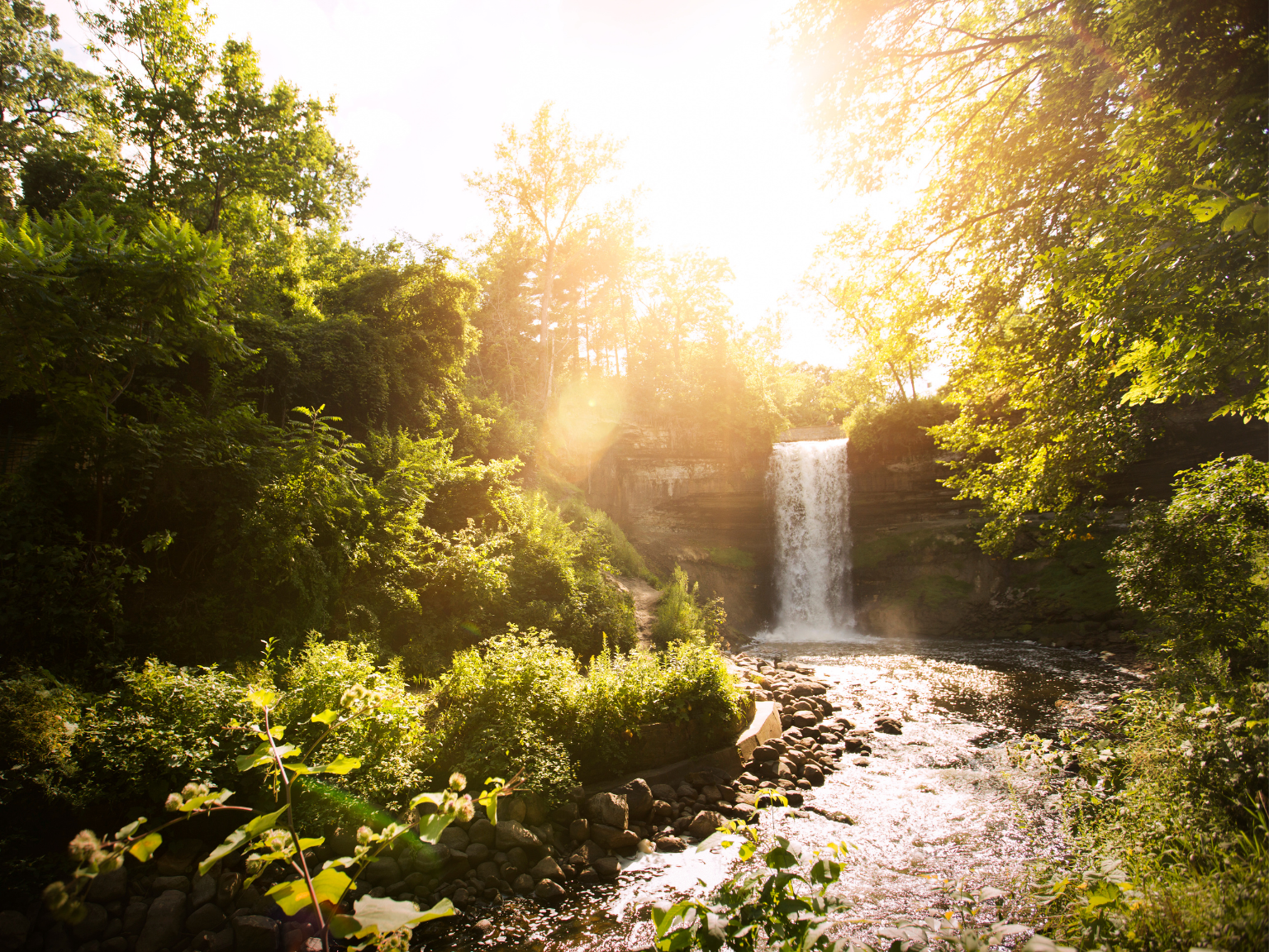 a waterfall surrounded by trees