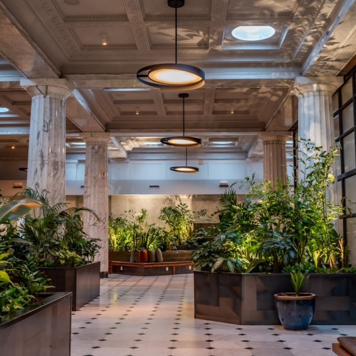 A spacious lobby with large marble columns, modern circular lights, and abundant green plants in sleek planters. The atmosphere is serene and welcoming.