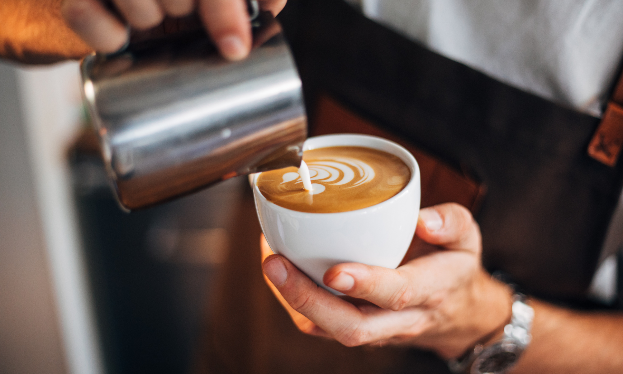 The Great Barista Throwdown