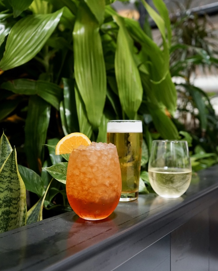 Alcoholic drinks sitting on edge near plants